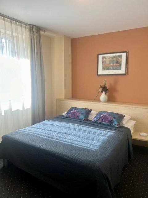 Hotel Pacific 티미쇼아라 외부 사진
